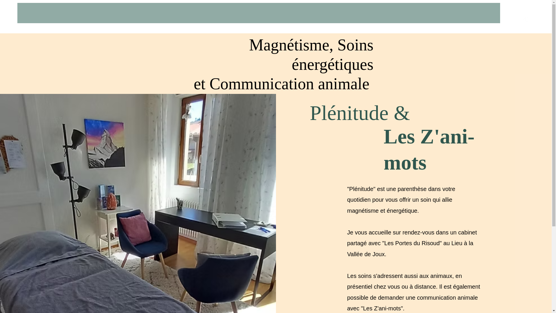 website screenshot of https://magnetismevalleedejoux.ch/