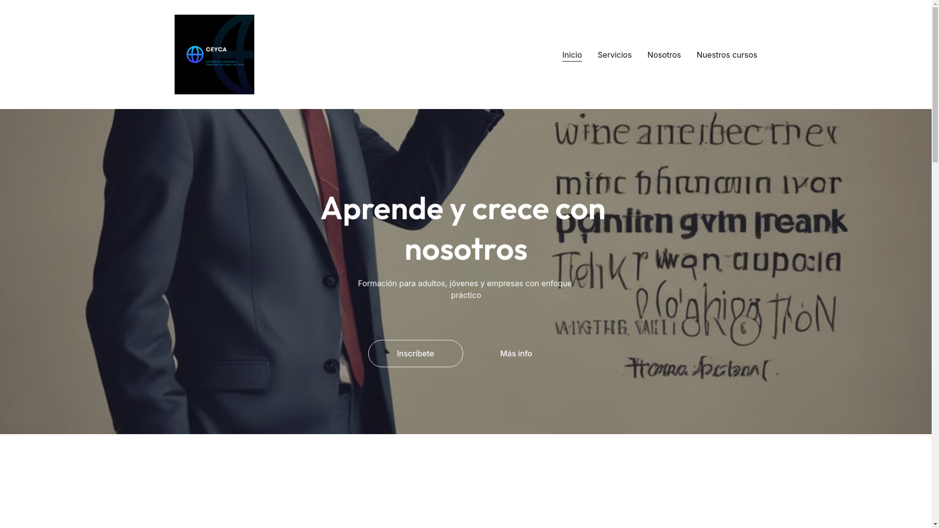 website screenshot of https://ceyca.org/