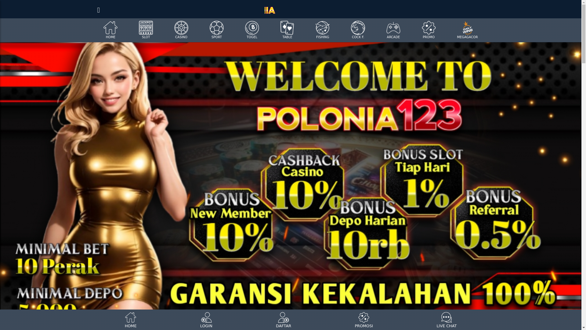 website screenshot of https://polonia123-senang.com/