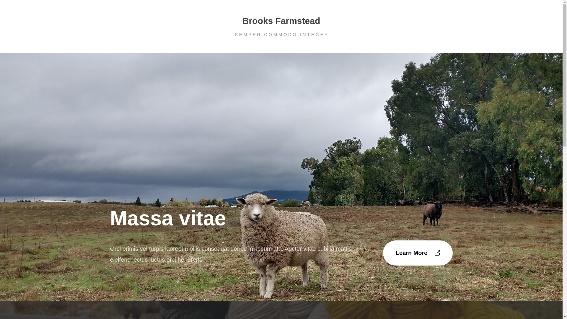 website screenshot of https://brooksfarmstead.com/