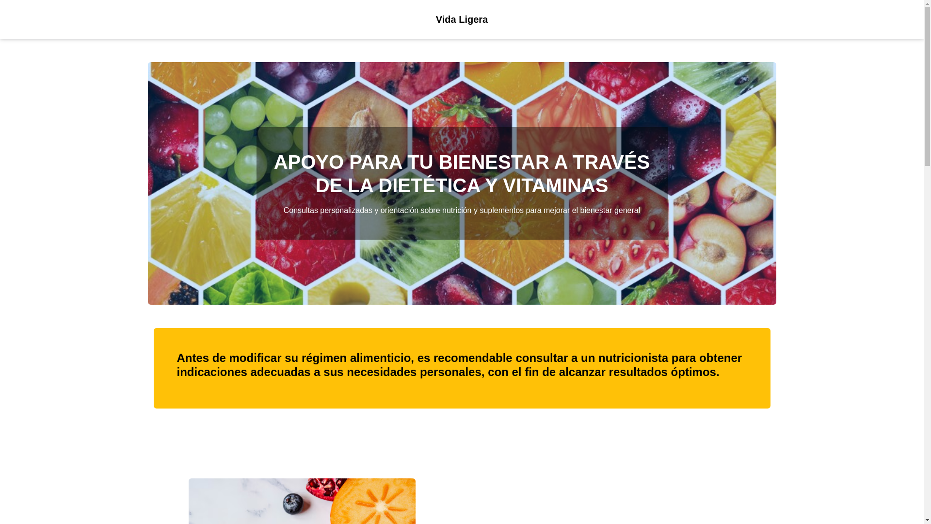 website screenshot of https://vidaligerab.com/