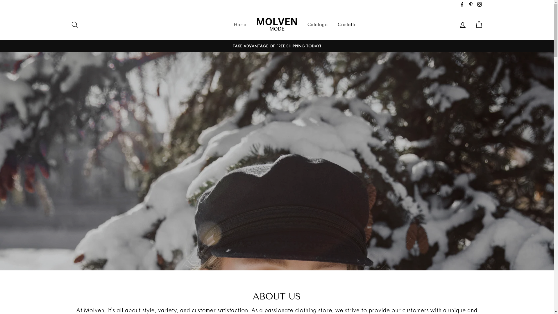 website screenshot of https://molven-mode.store/