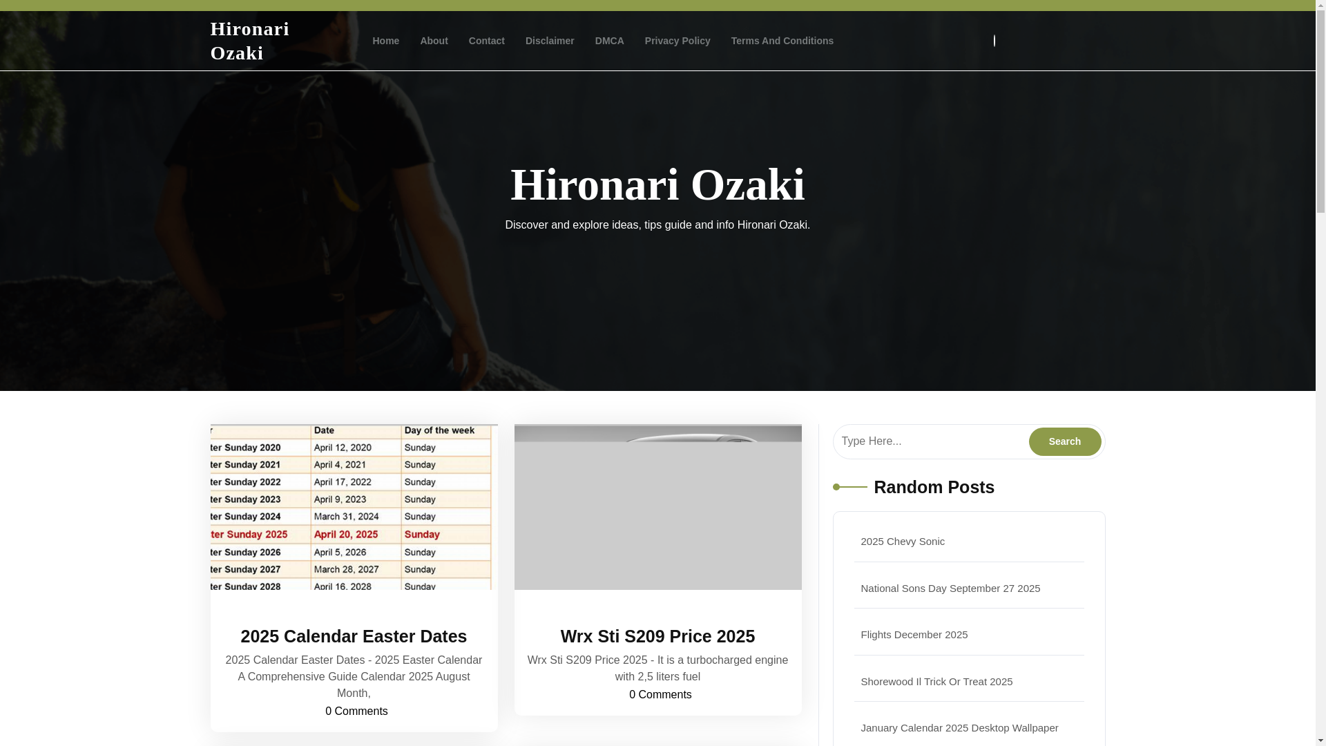 website screenshot of https://hironariozaki.pages.dev/