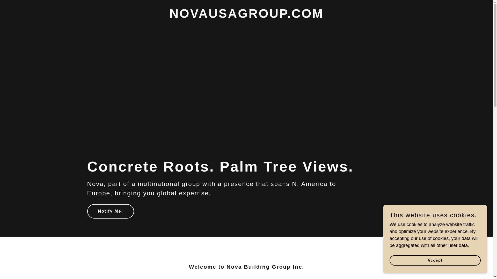 website screenshot of https://novausagroup.com/