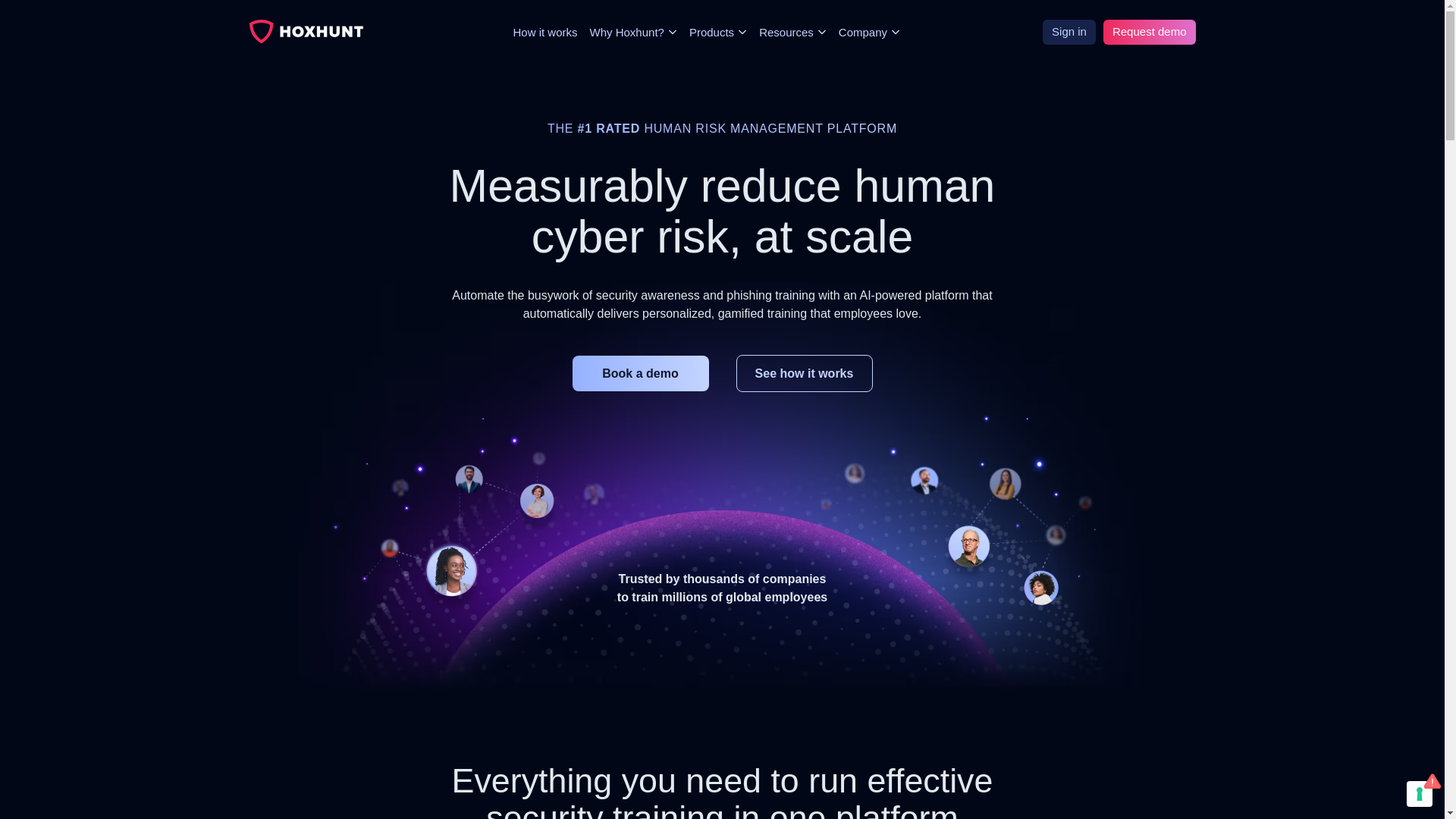 website screenshot of https://hoxhuntltd.com/