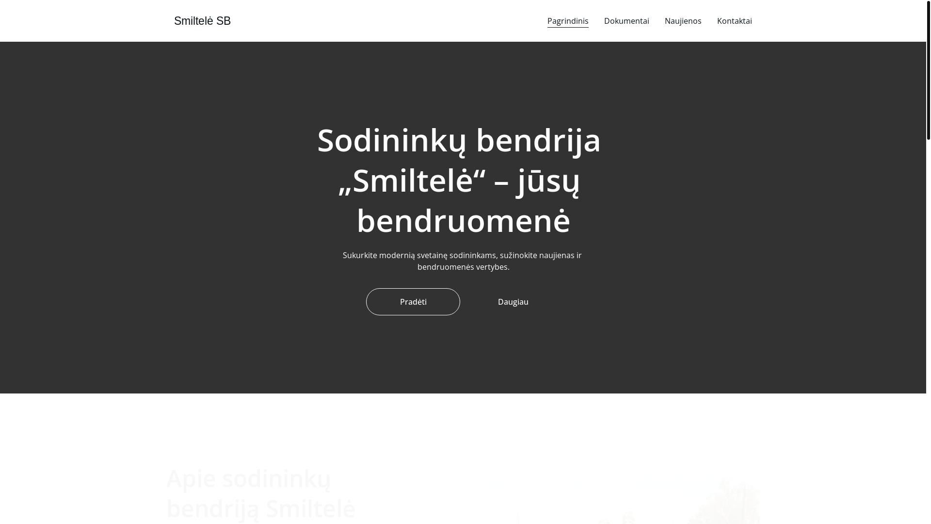 website screenshot of https://smiltelesb.lt/