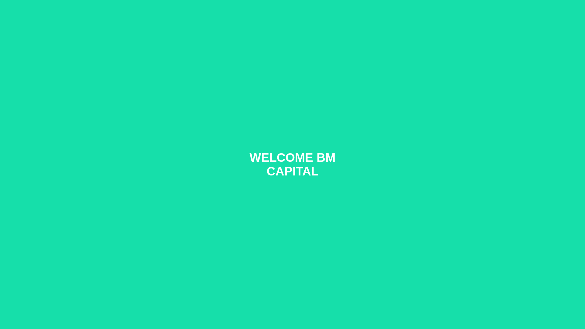 website screenshot of https://bmcapital-718.pages.dev/