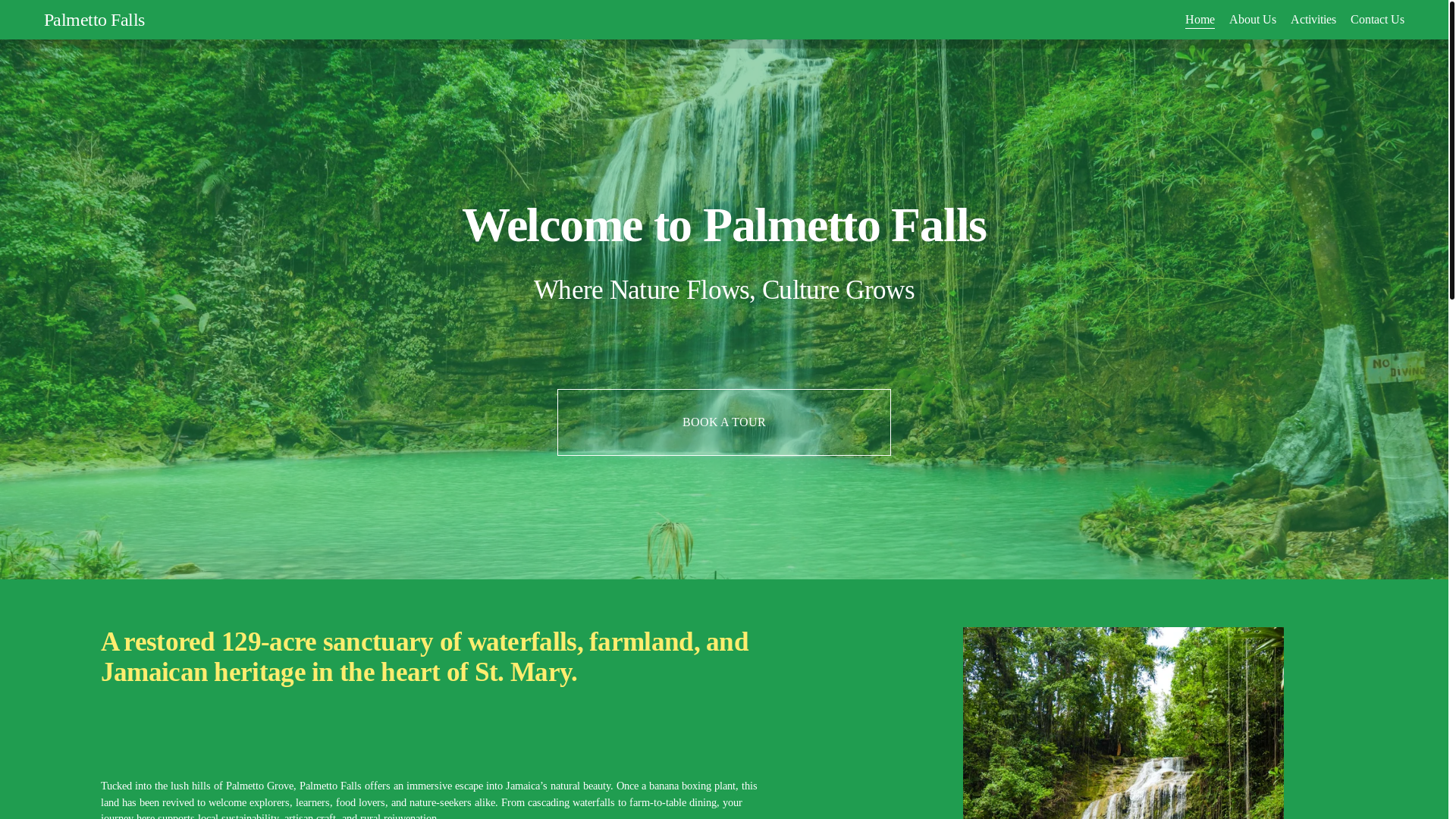 website screenshot of https://palmettofalls.com/