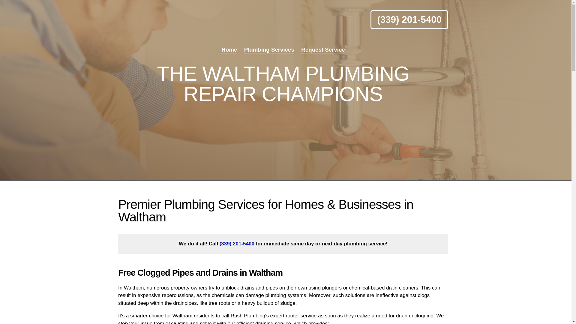 website screenshot of https://rushplumbing.best/