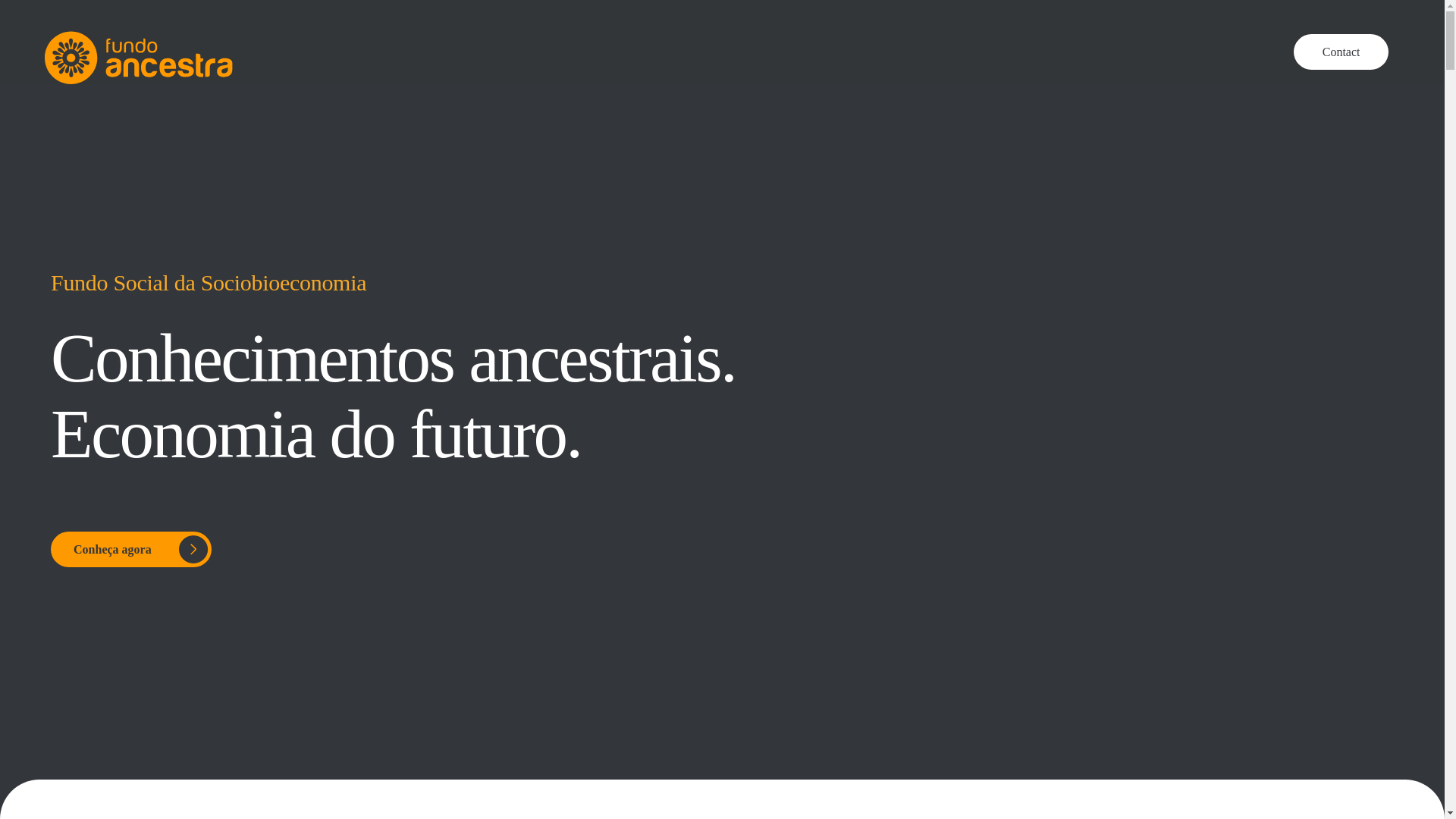 website screenshot of https://fundoancestra.com/