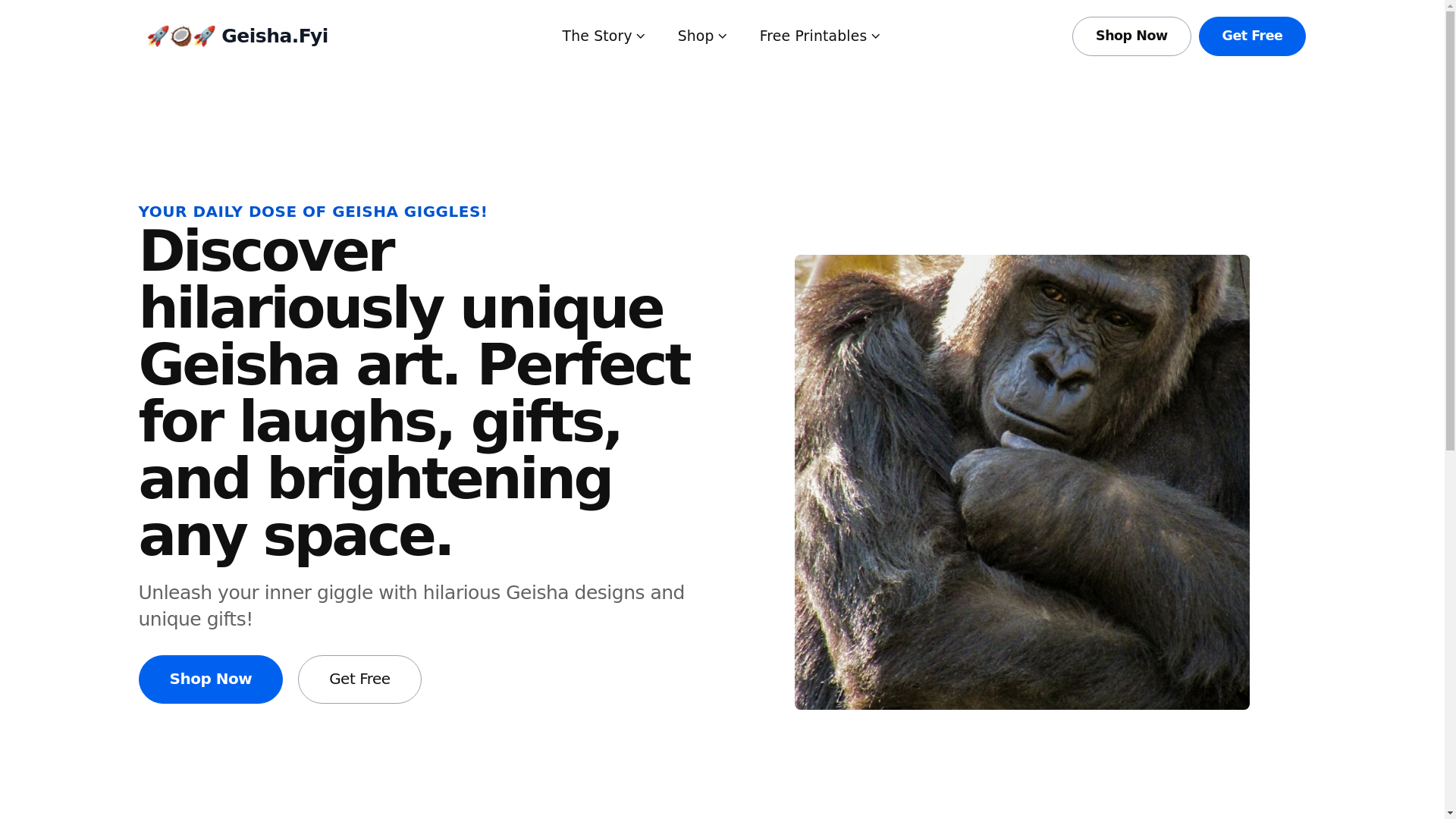 website screenshot of https://geisha-fyi.pages.dev/