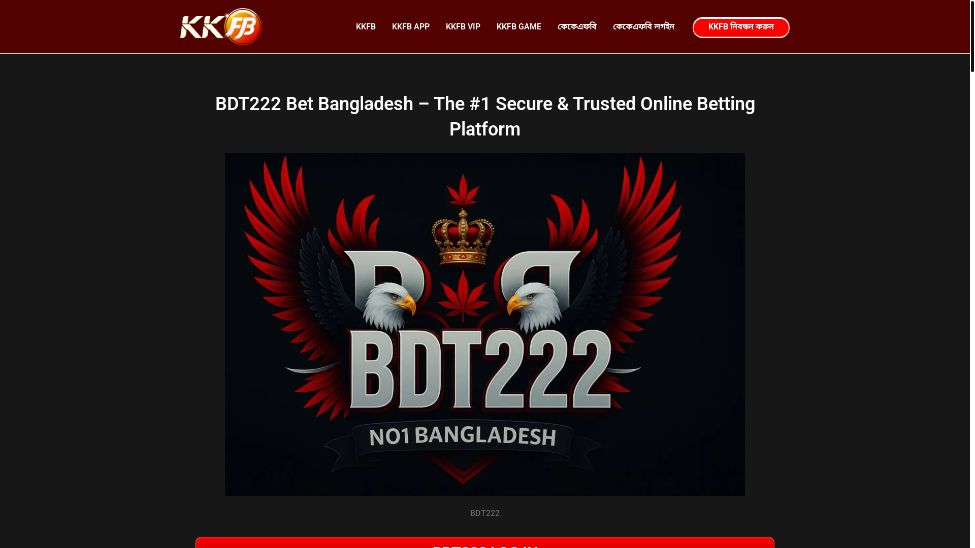 website screenshot of https://kkfb-bdt.com/bdt222/