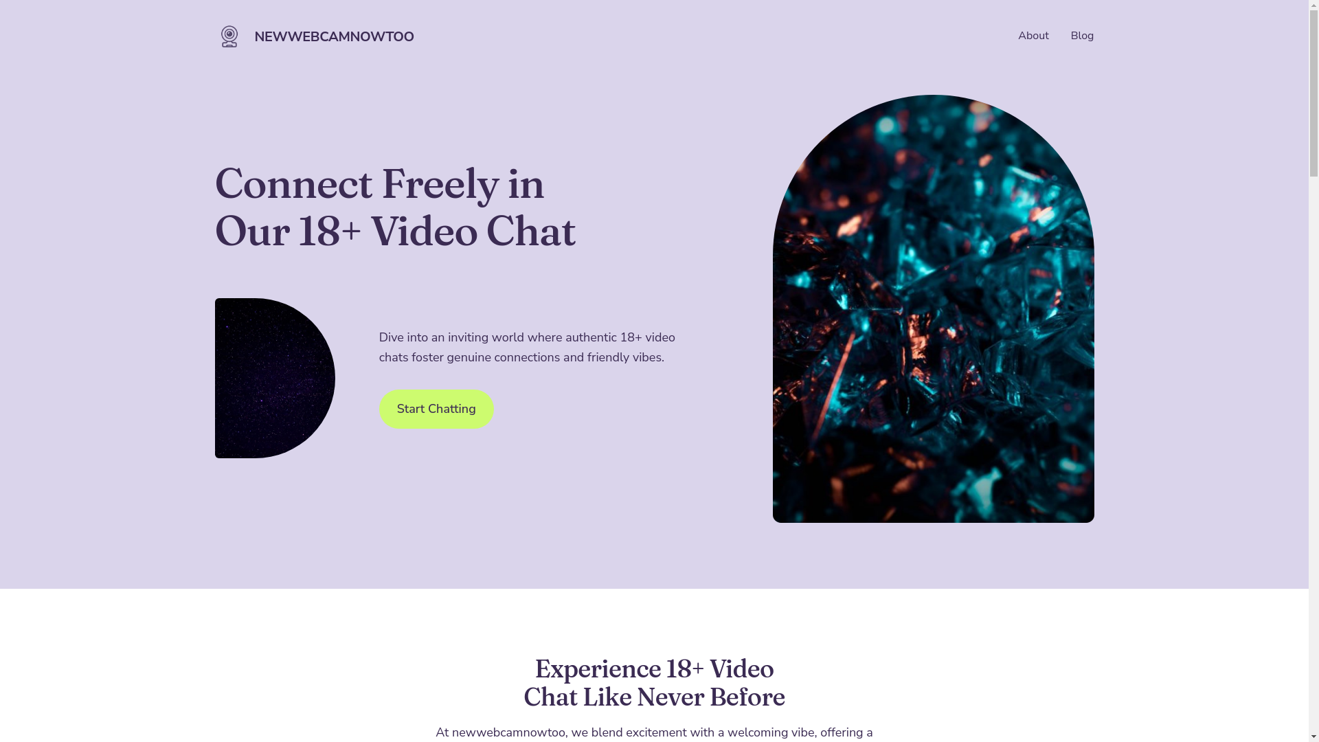 website screenshot of https://newwebcamnowtoo.com/