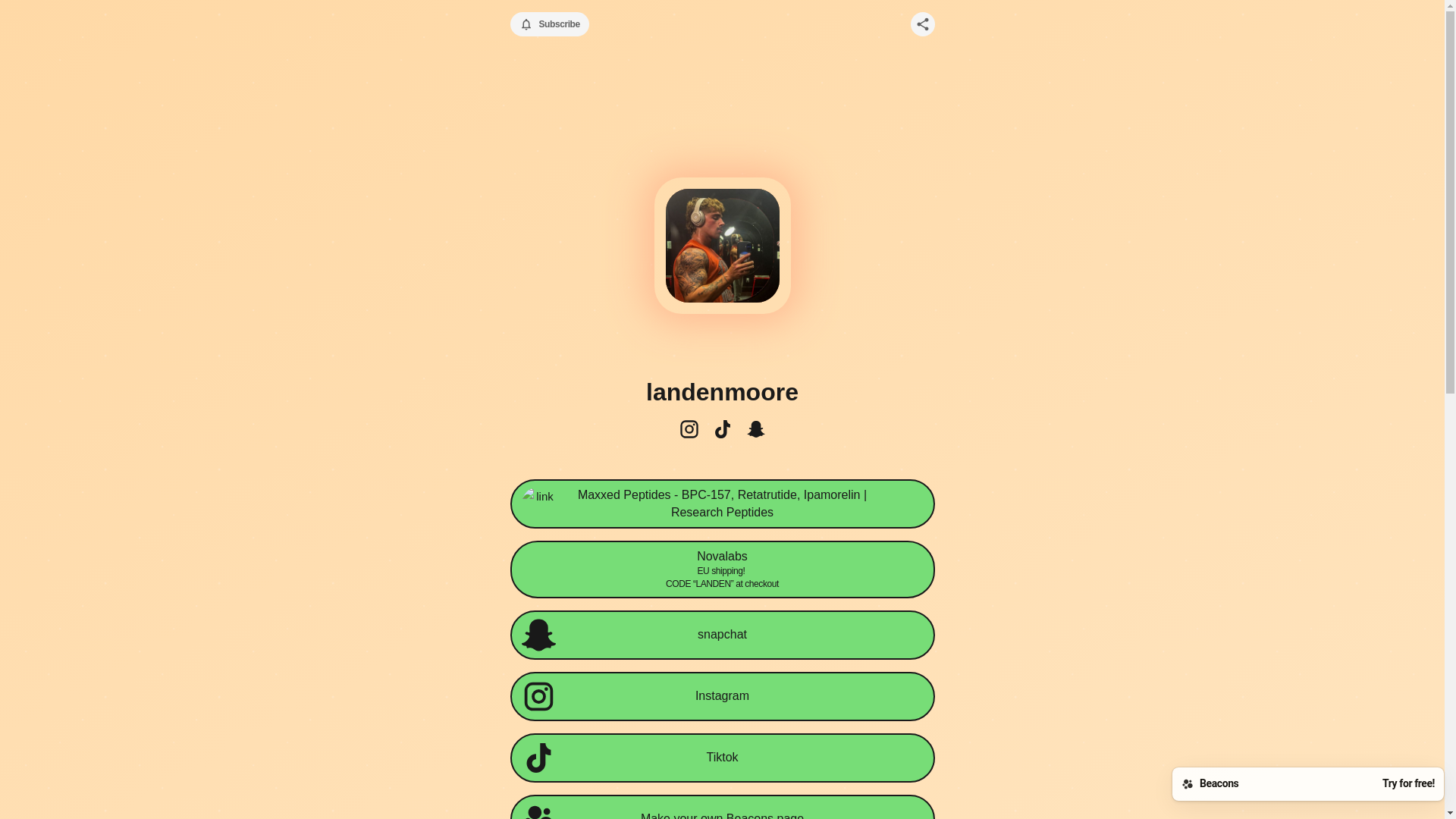 website screenshot of https://landenmoore.com/