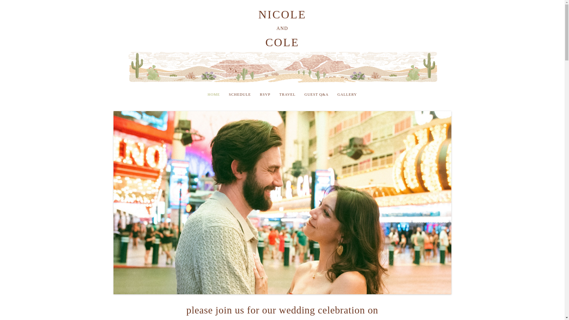 website screenshot of https://nicoleandcole2026.com/