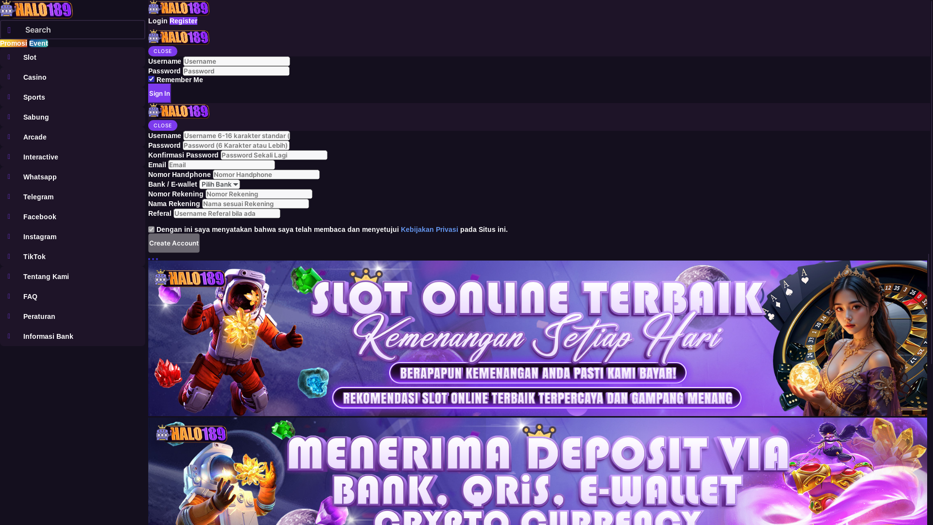 website screenshot of https://halo189.pro/