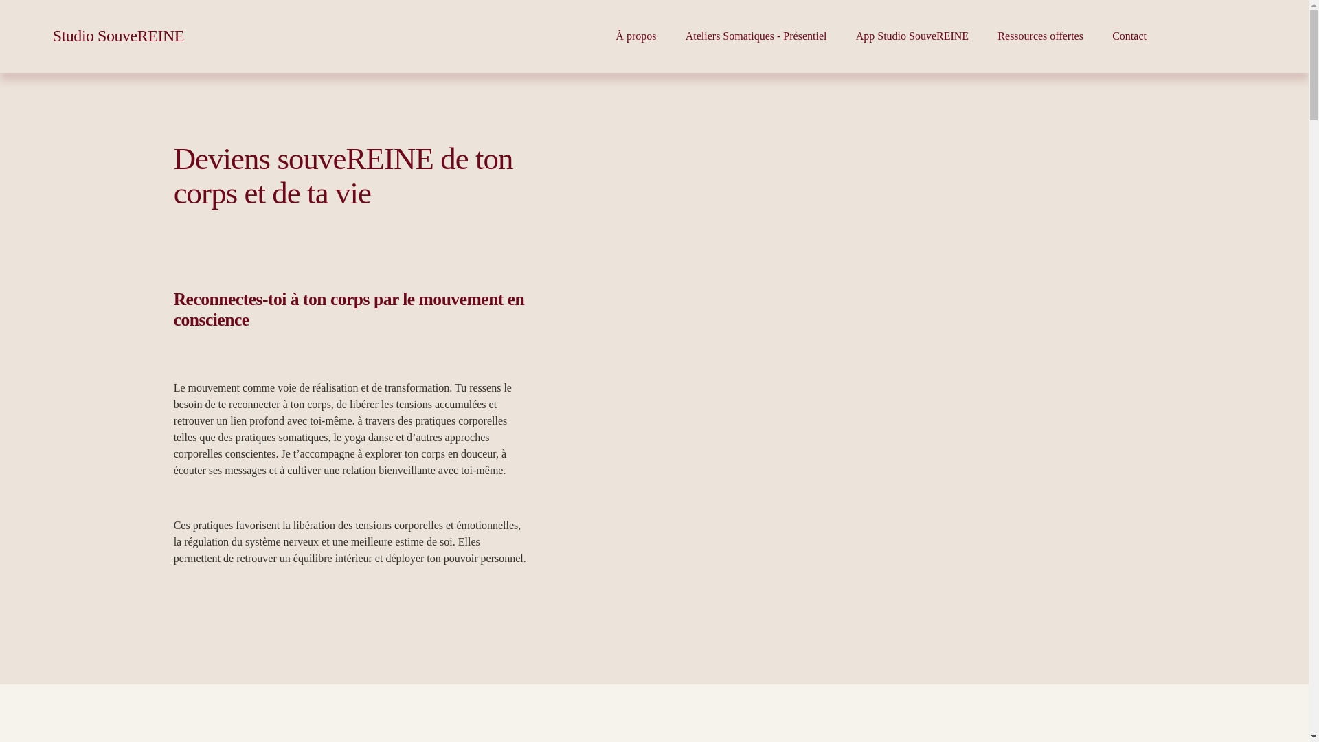 website screenshot of https://studio-souvereine.fr/