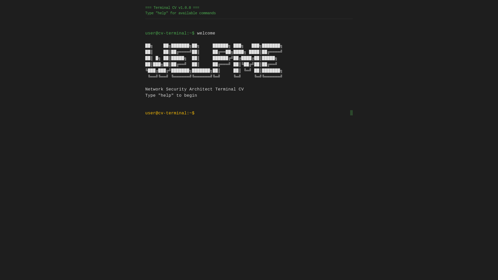 website screenshot of https://cv2-2dp.pages.dev/