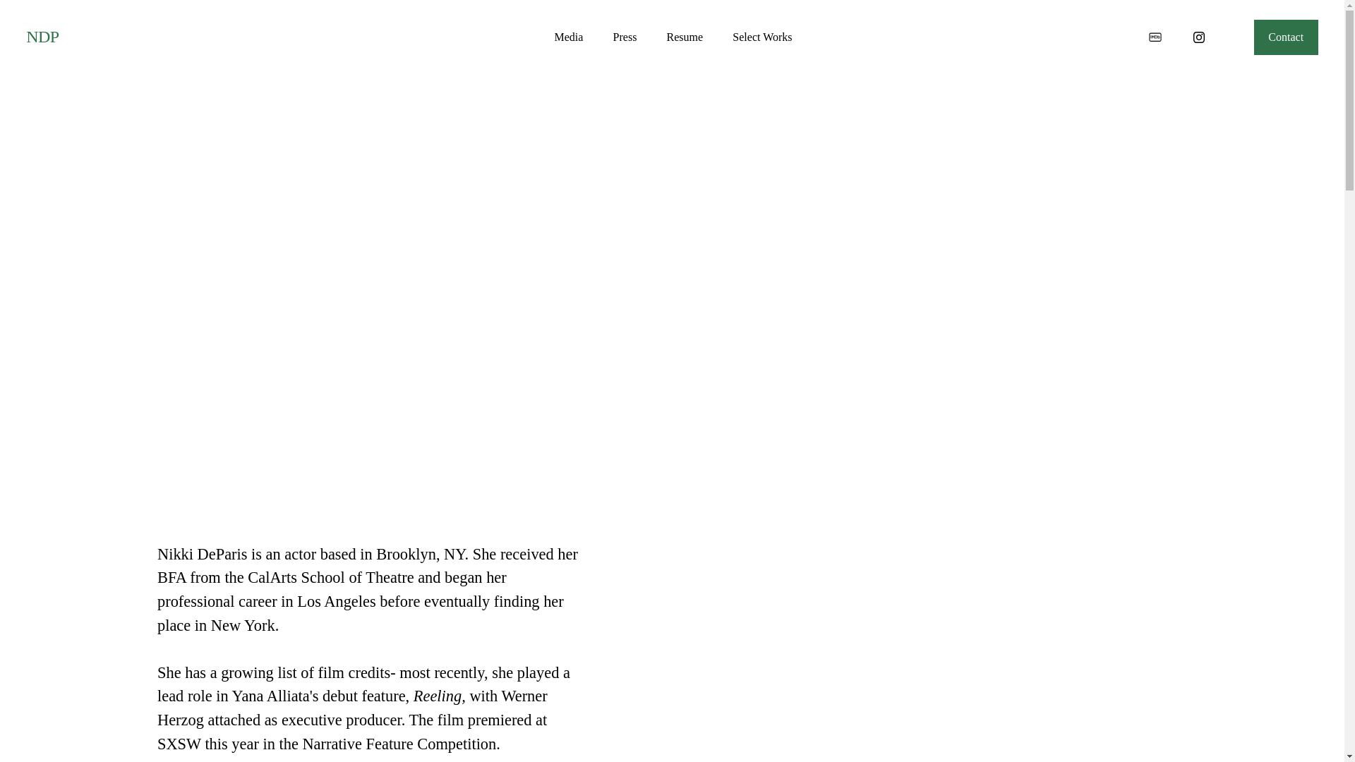 website screenshot of https://nikkideparis.com/