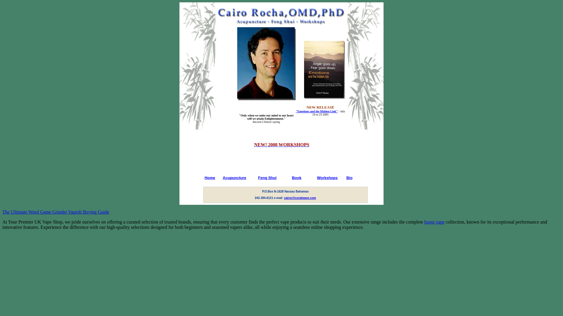 website screenshot of https://cairorocha.pages.dev/