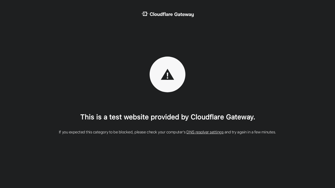 website screenshot of https://phising.testcategory.com