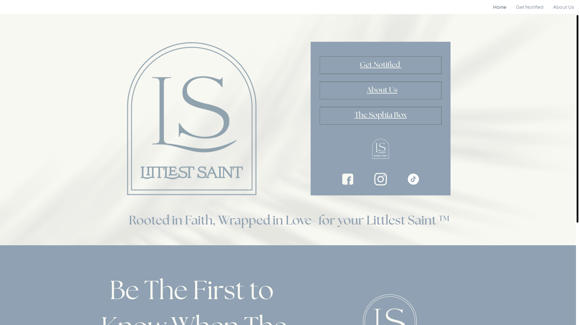 website screenshot of https://littlestsaint.online/