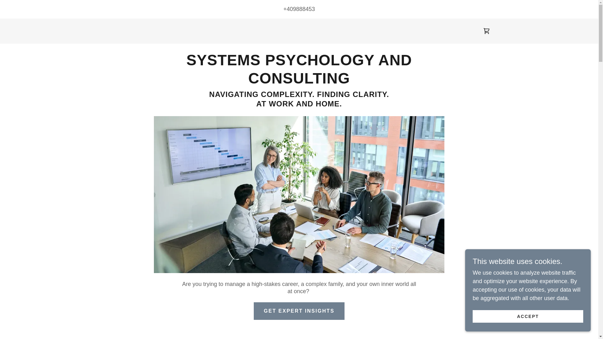 website screenshot of https://systemspsychology.com.au/