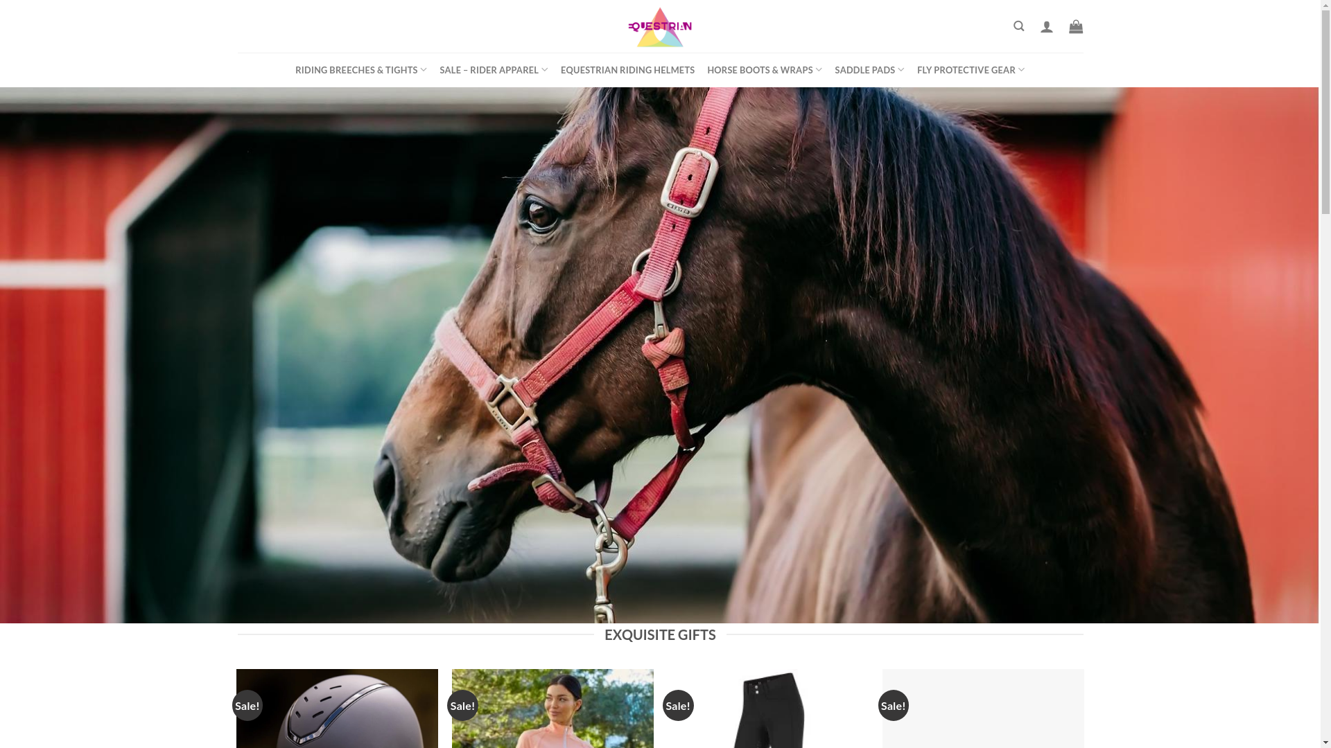website screenshot of http://equestrians-stores.com/