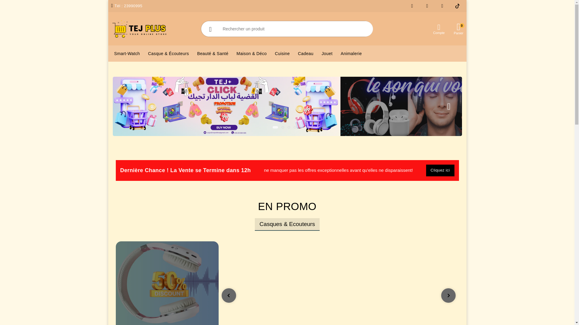 website screenshot of https://tejplus.tn/