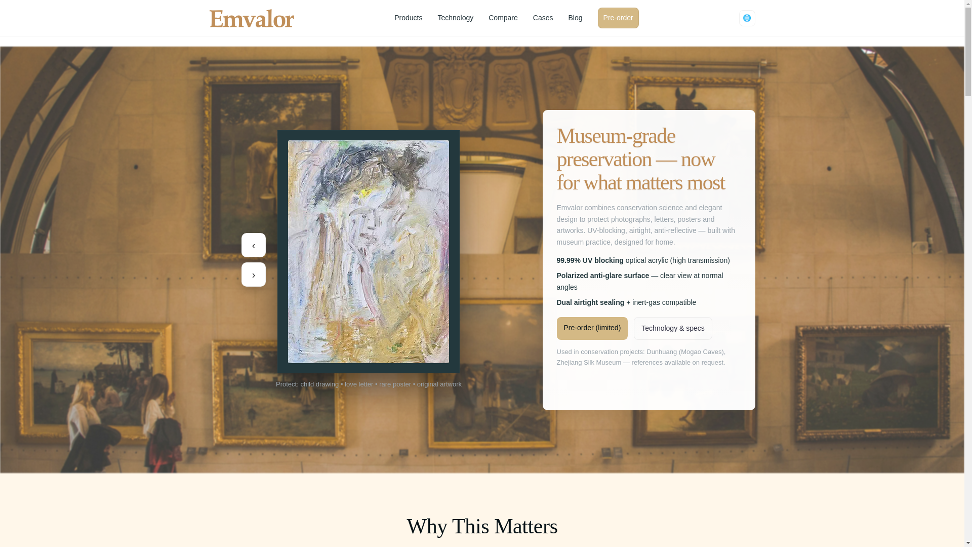 website screenshot of https://emvalor.pages.dev/