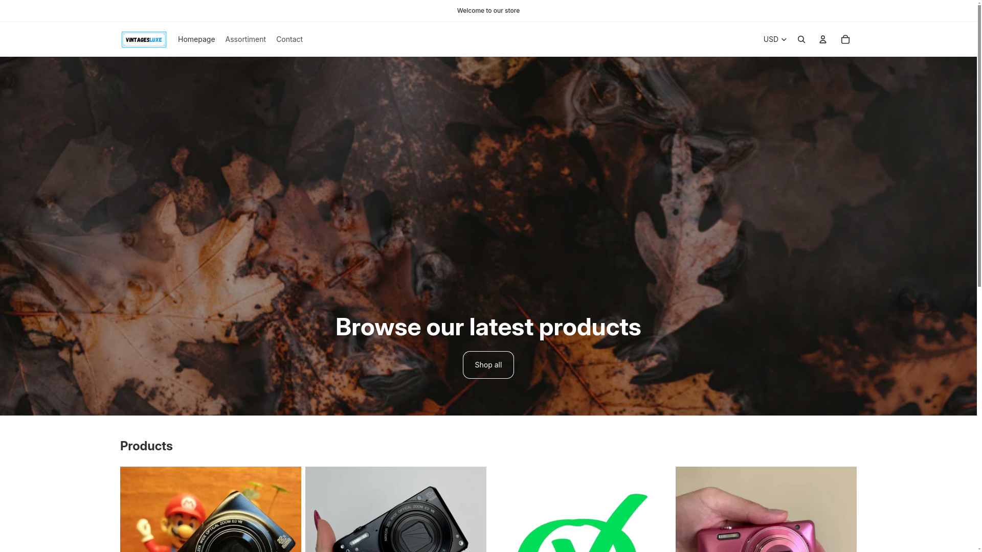 website screenshot of https://vintge.shop/