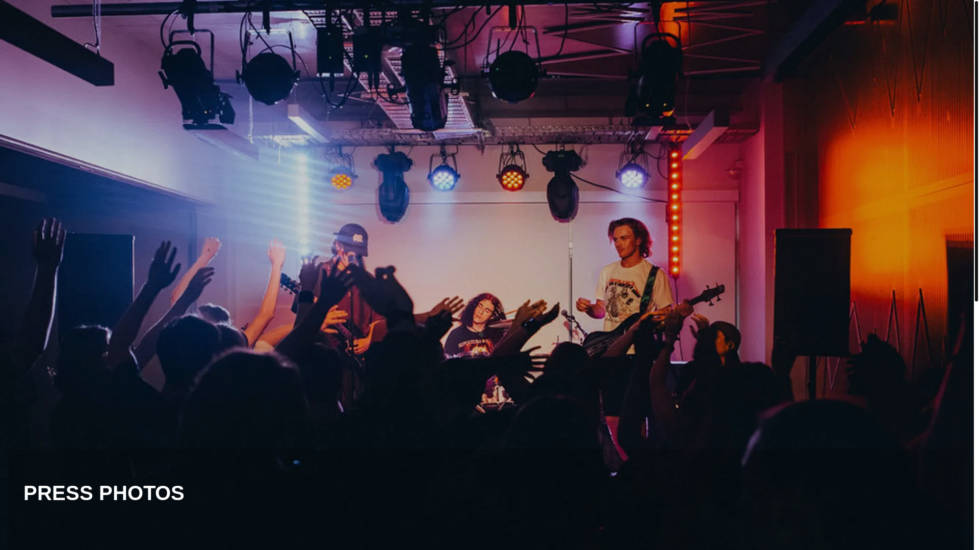 website screenshot of https://palinolaband.com/