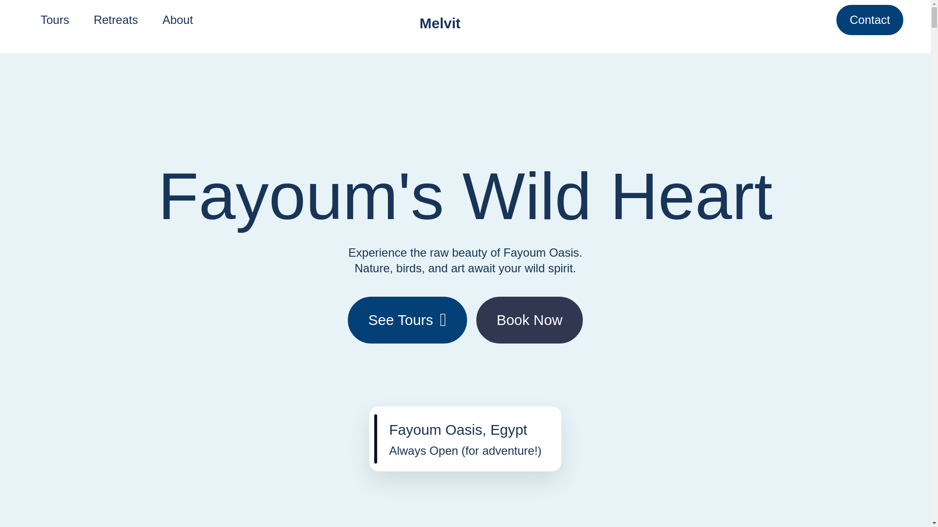 website screenshot of https://melvitzraminc.pro/