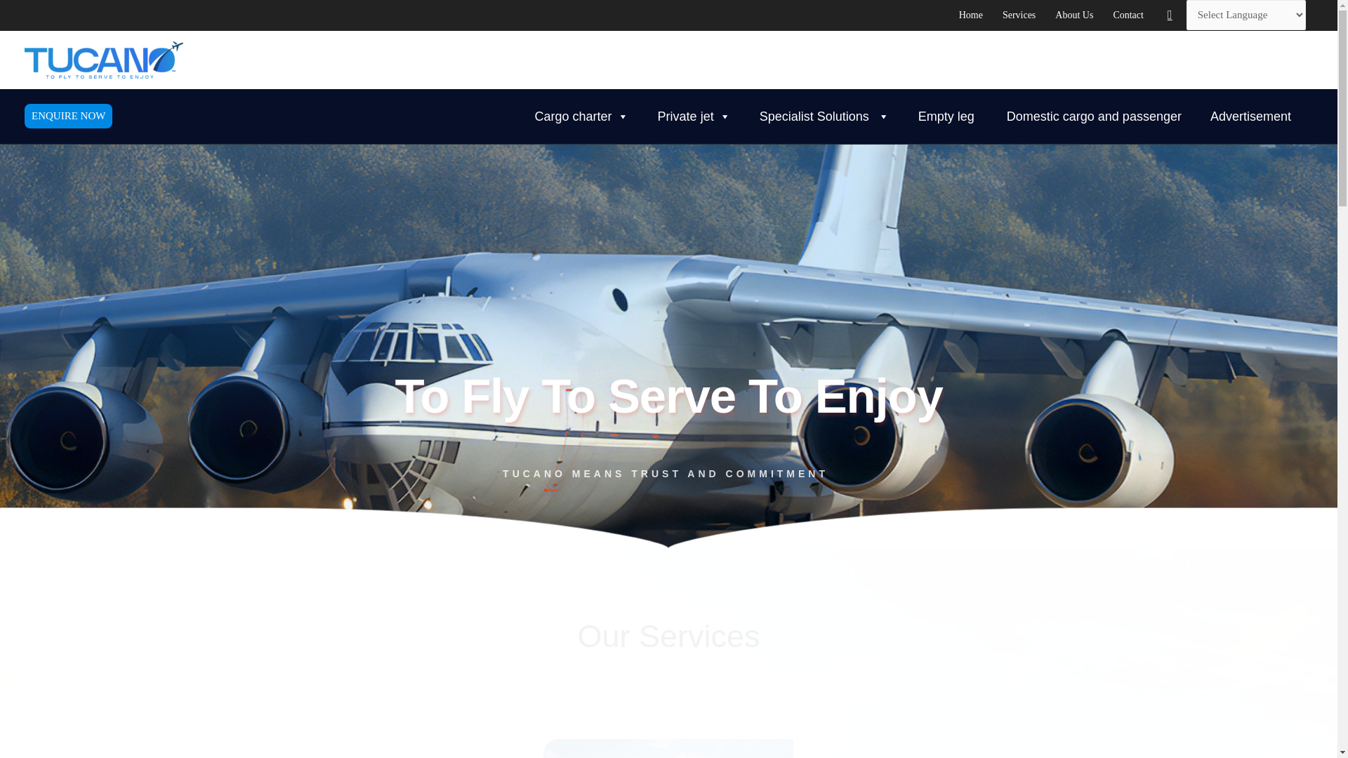 website screenshot of https://tucanoac.com/