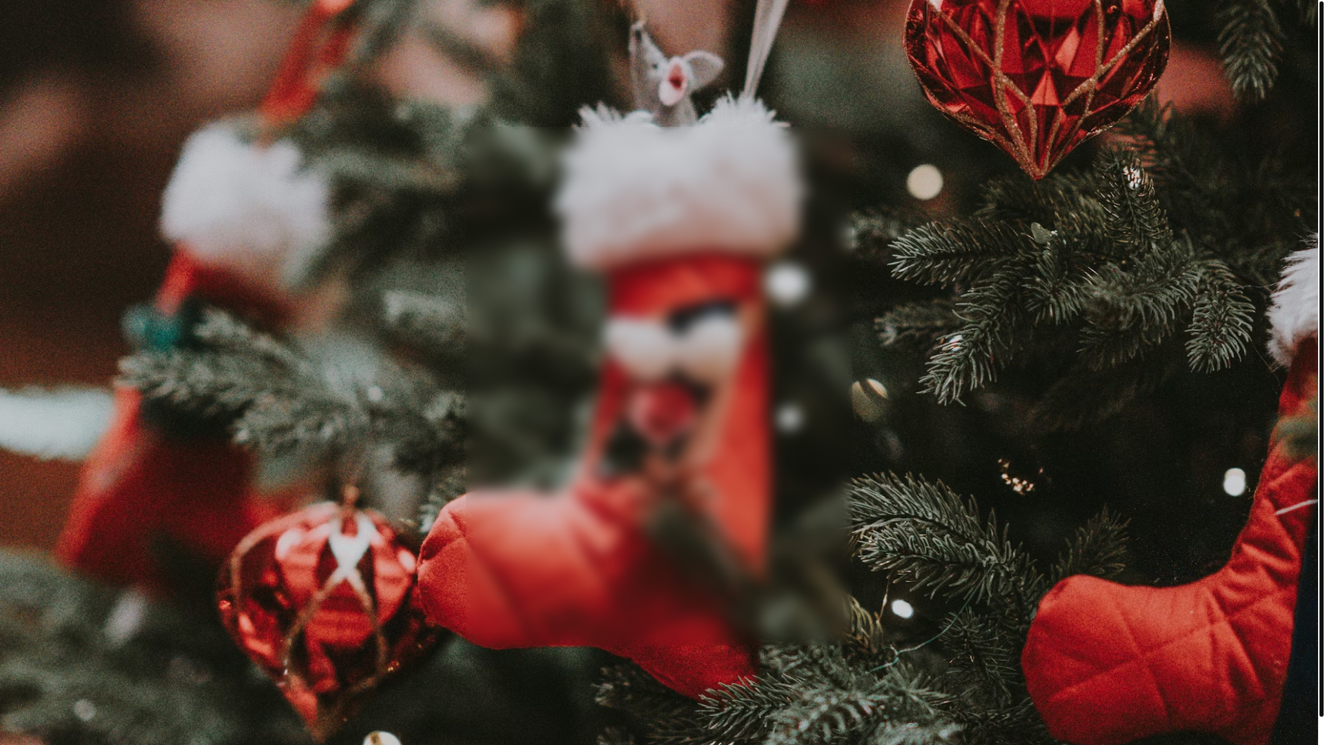 website screenshot of https://enjoys-advent.net/