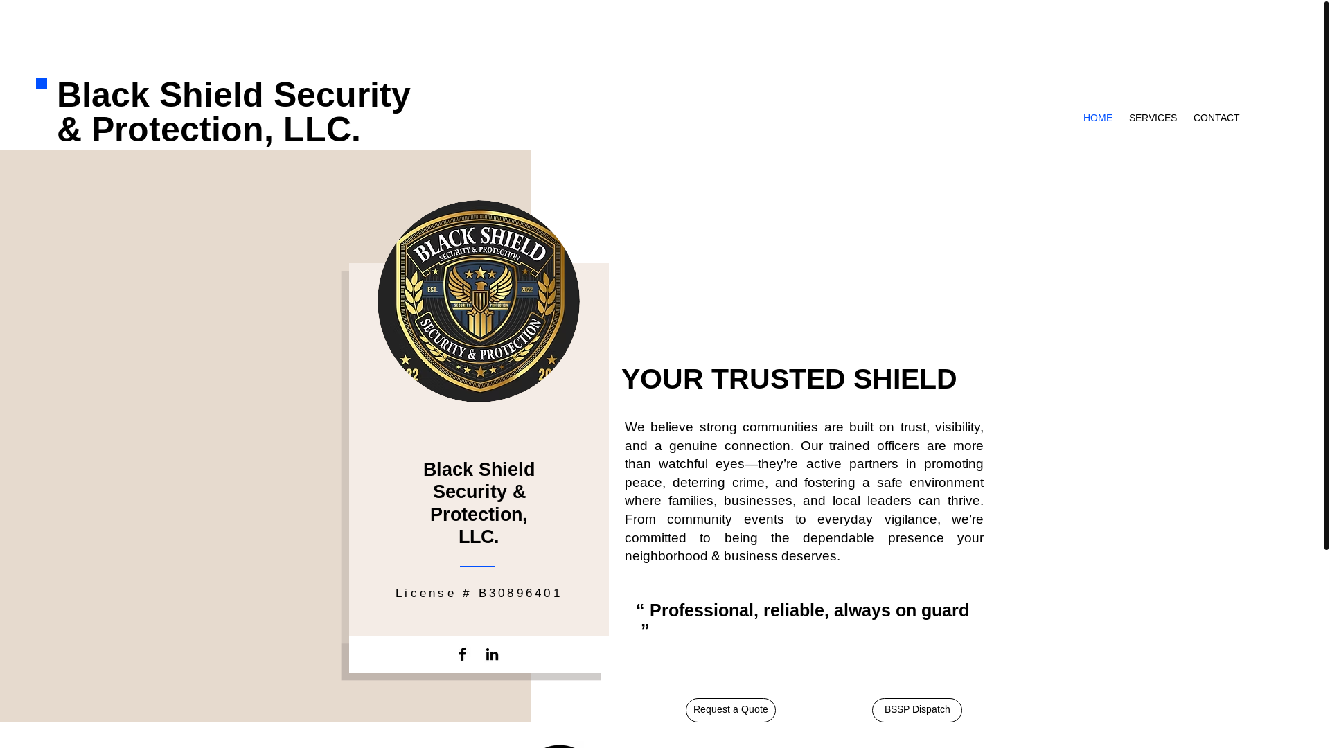 website screenshot of https://trustthisshield.com/