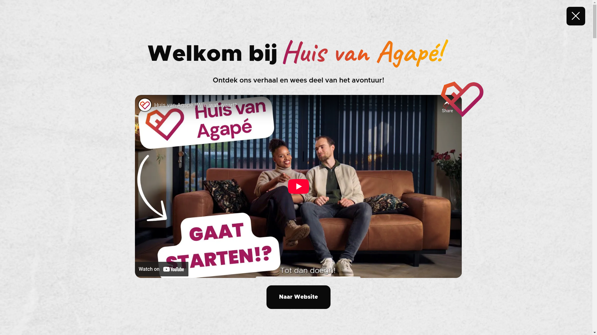 website screenshot of https://huisvanagape.org/