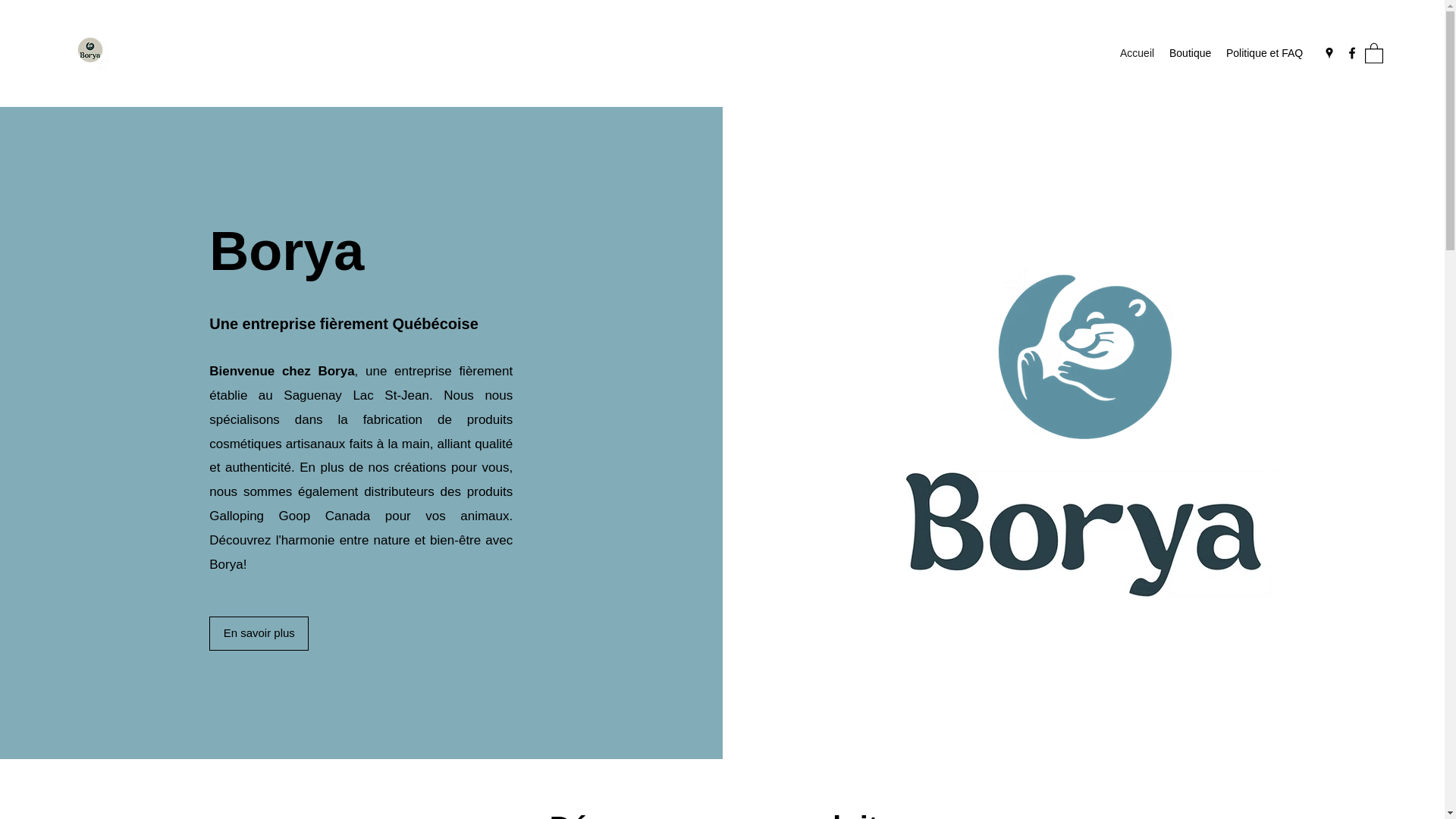 website screenshot of https://borya.ca/