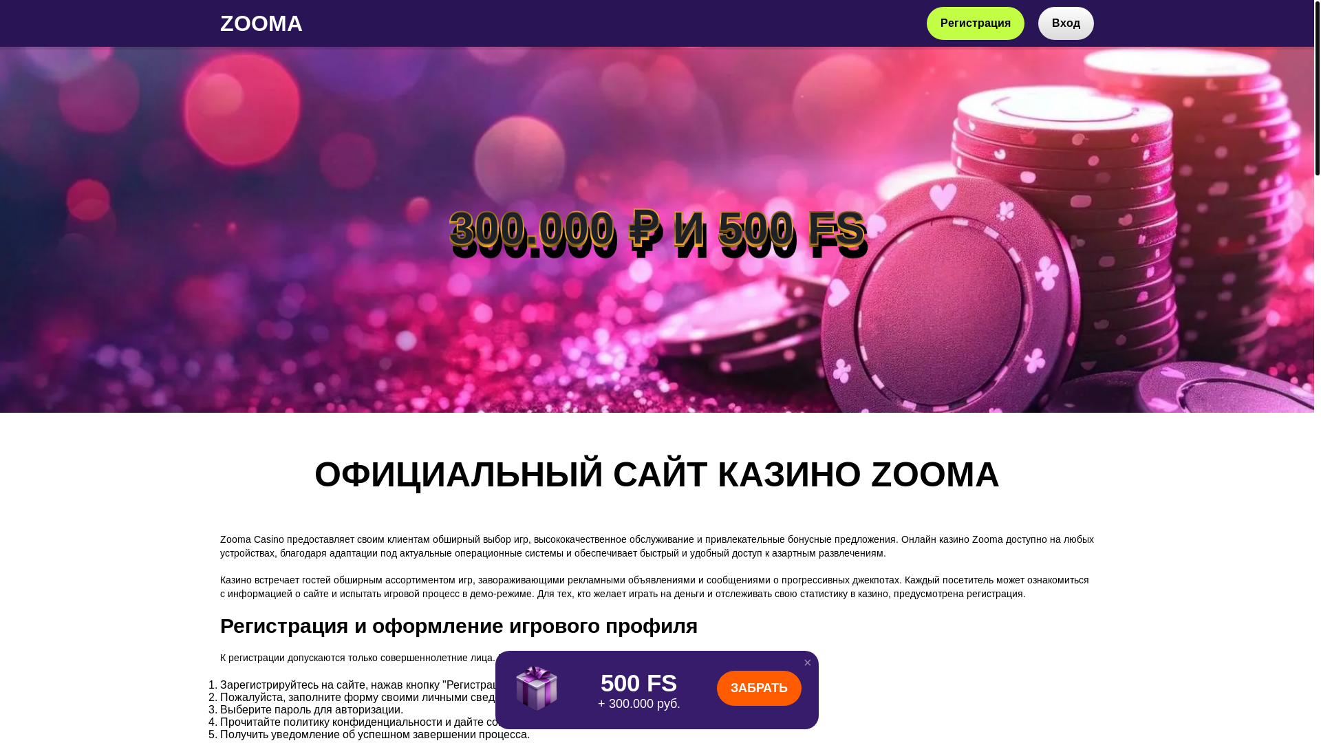 website screenshot of https://zooma0713.top/