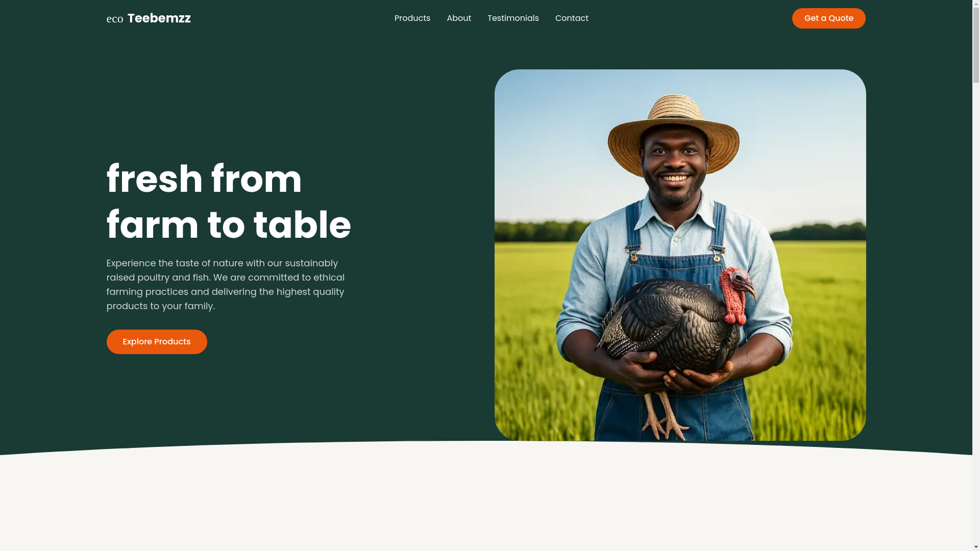 website screenshot of https://teebemzz.com/