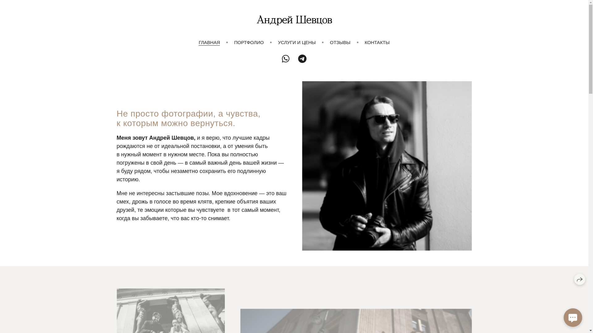 website screenshot of https://andreyshevcov.ru/