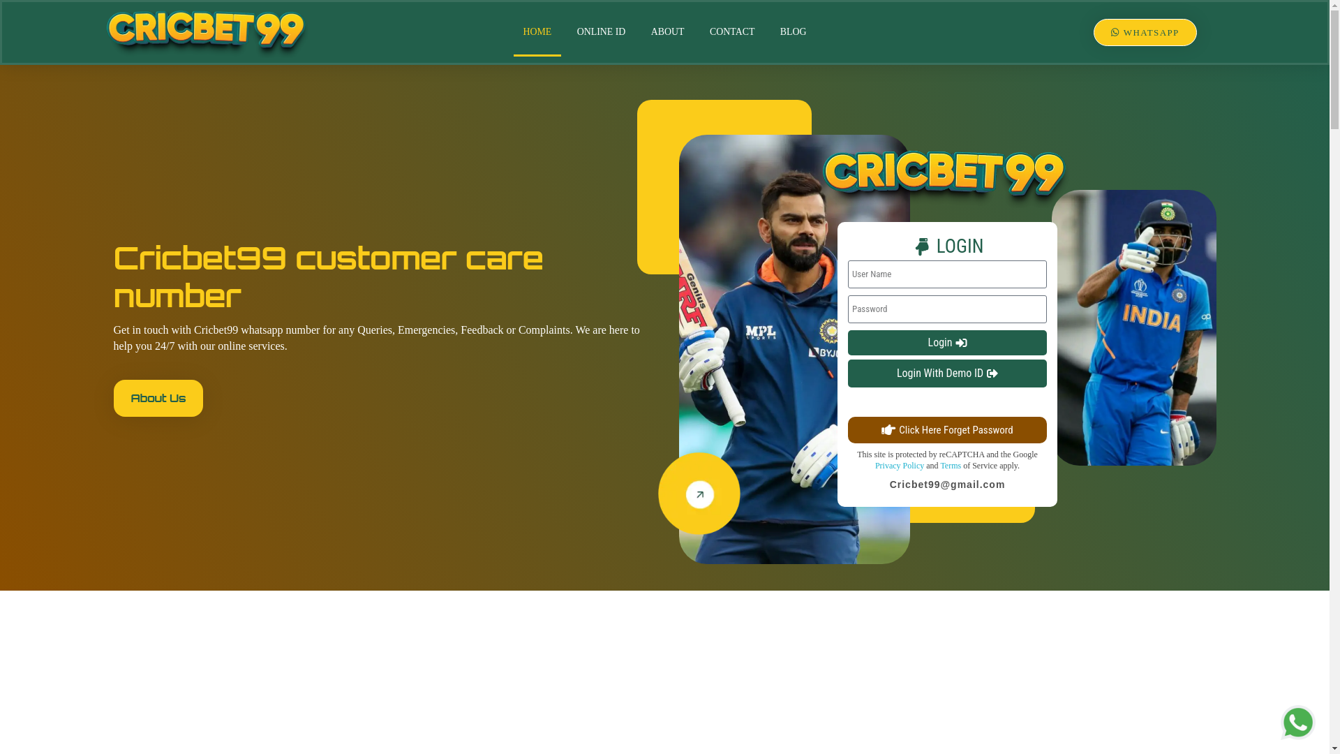 website screenshot of https://crickbeti99.com/