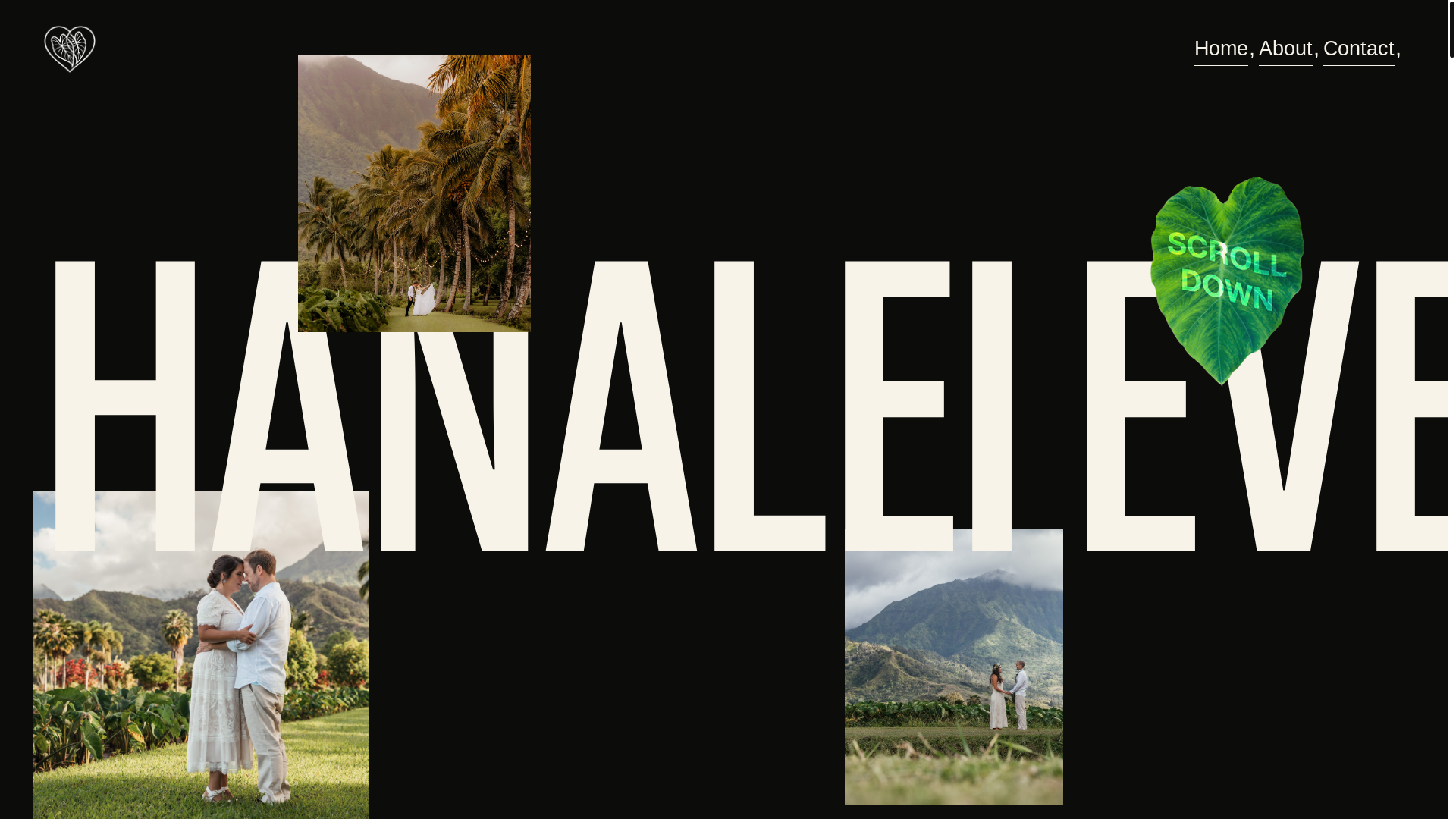 website screenshot of https://hanaleieverafter.com/