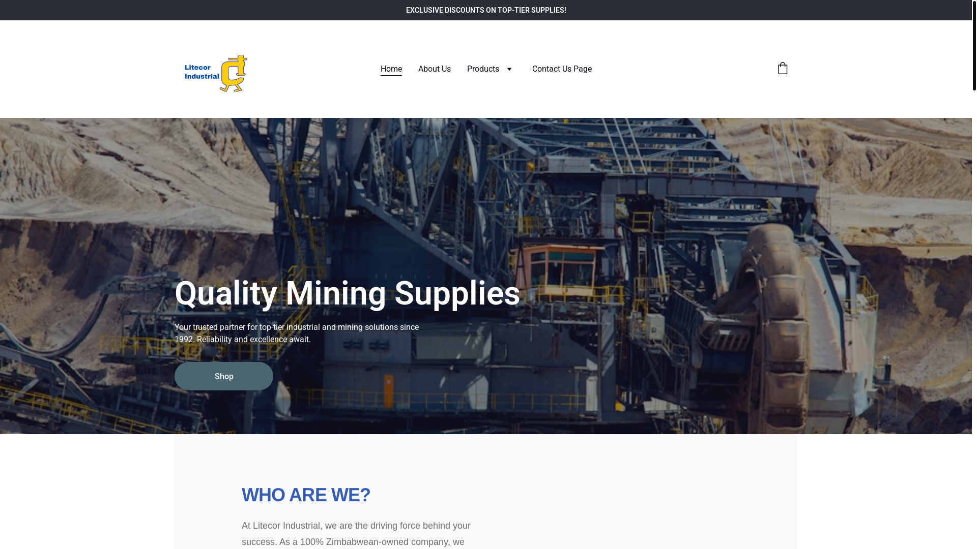 website screenshot of https://litecor-industrial.shop/