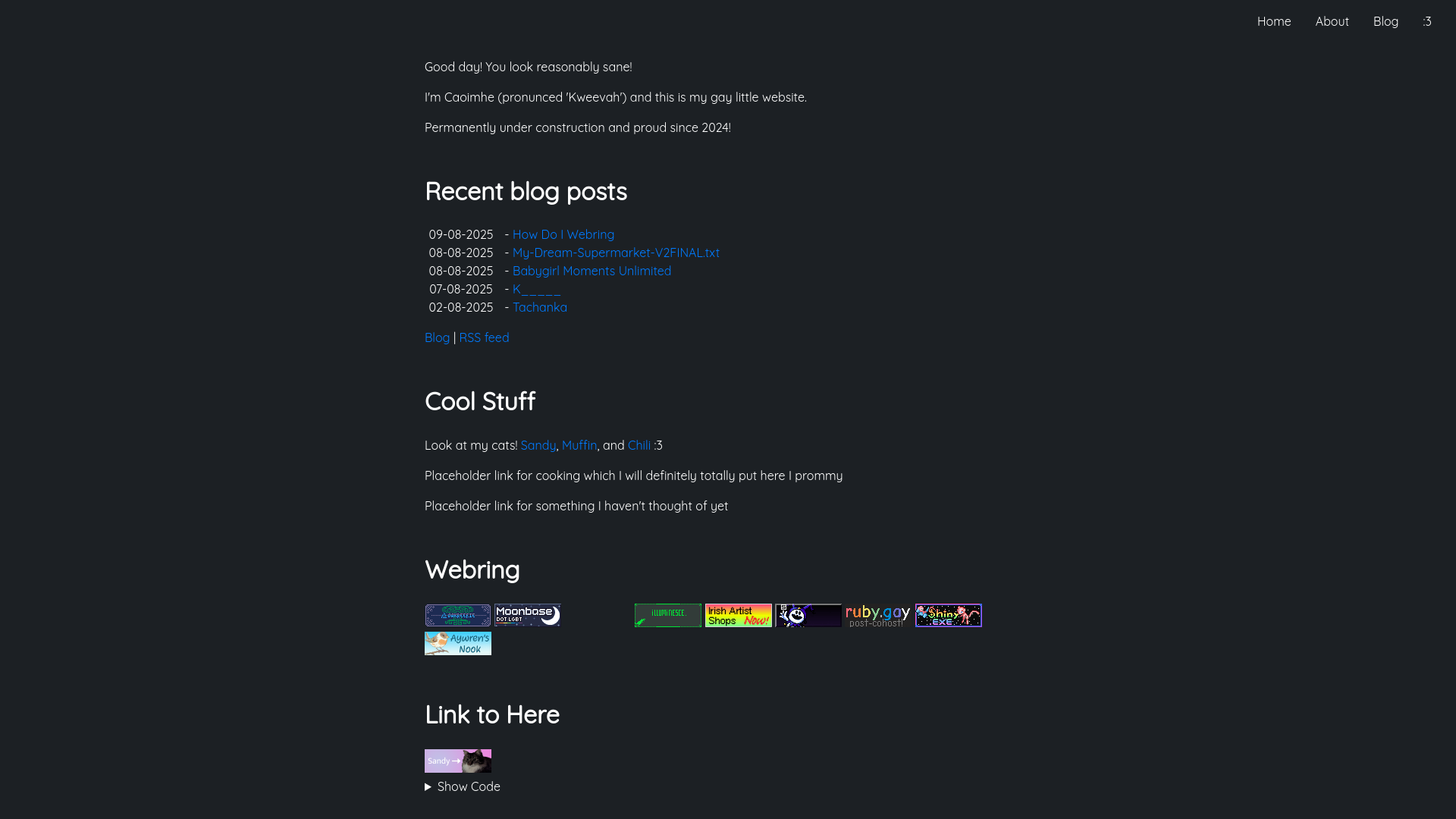 website screenshot of https://sandyspalace.ie/