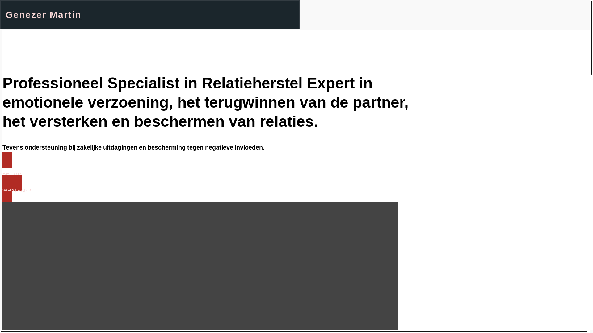 website screenshot of https://genezermartin.com/