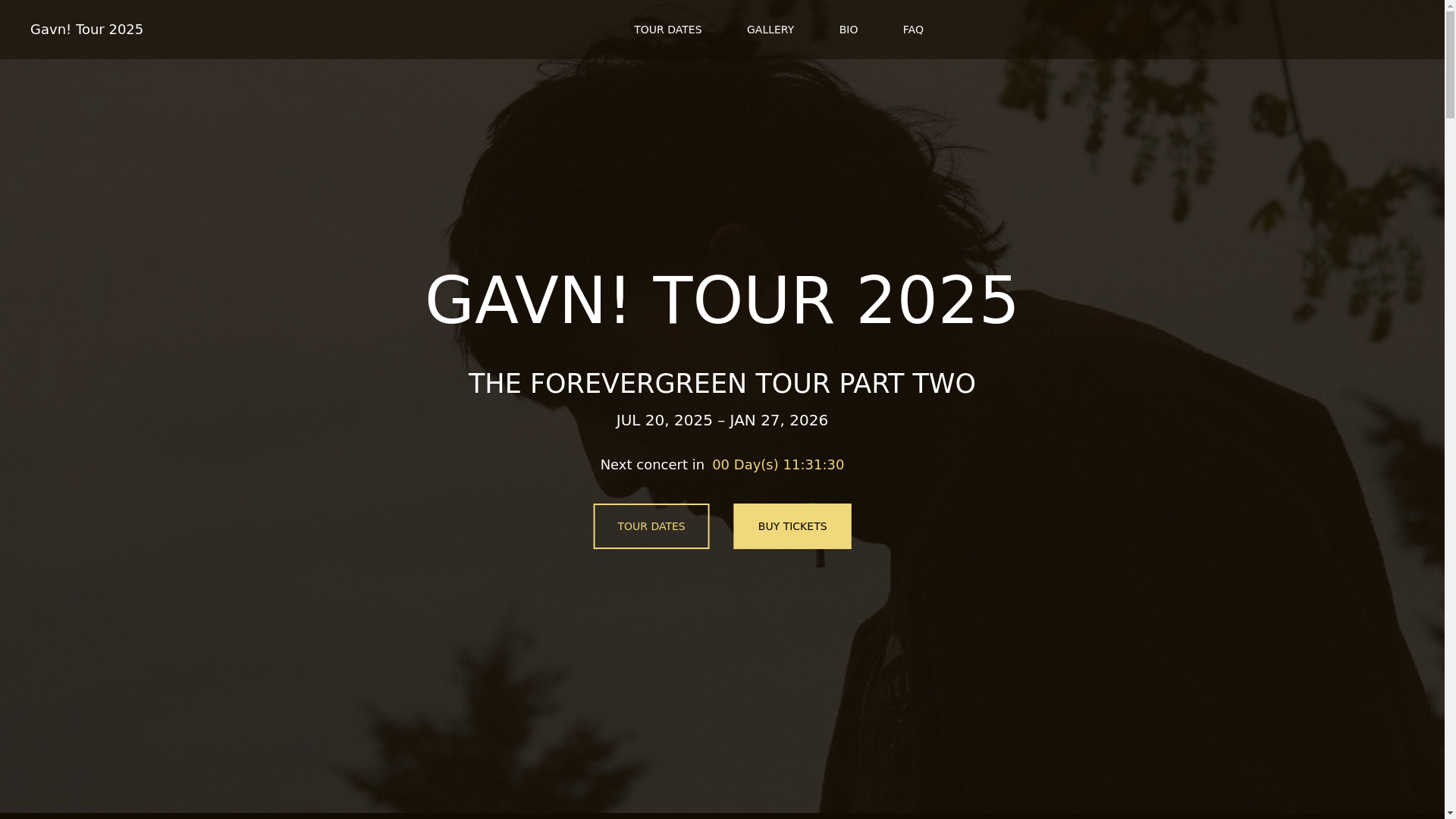website screenshot of https://gavntour-com-github-io.pages.dev/