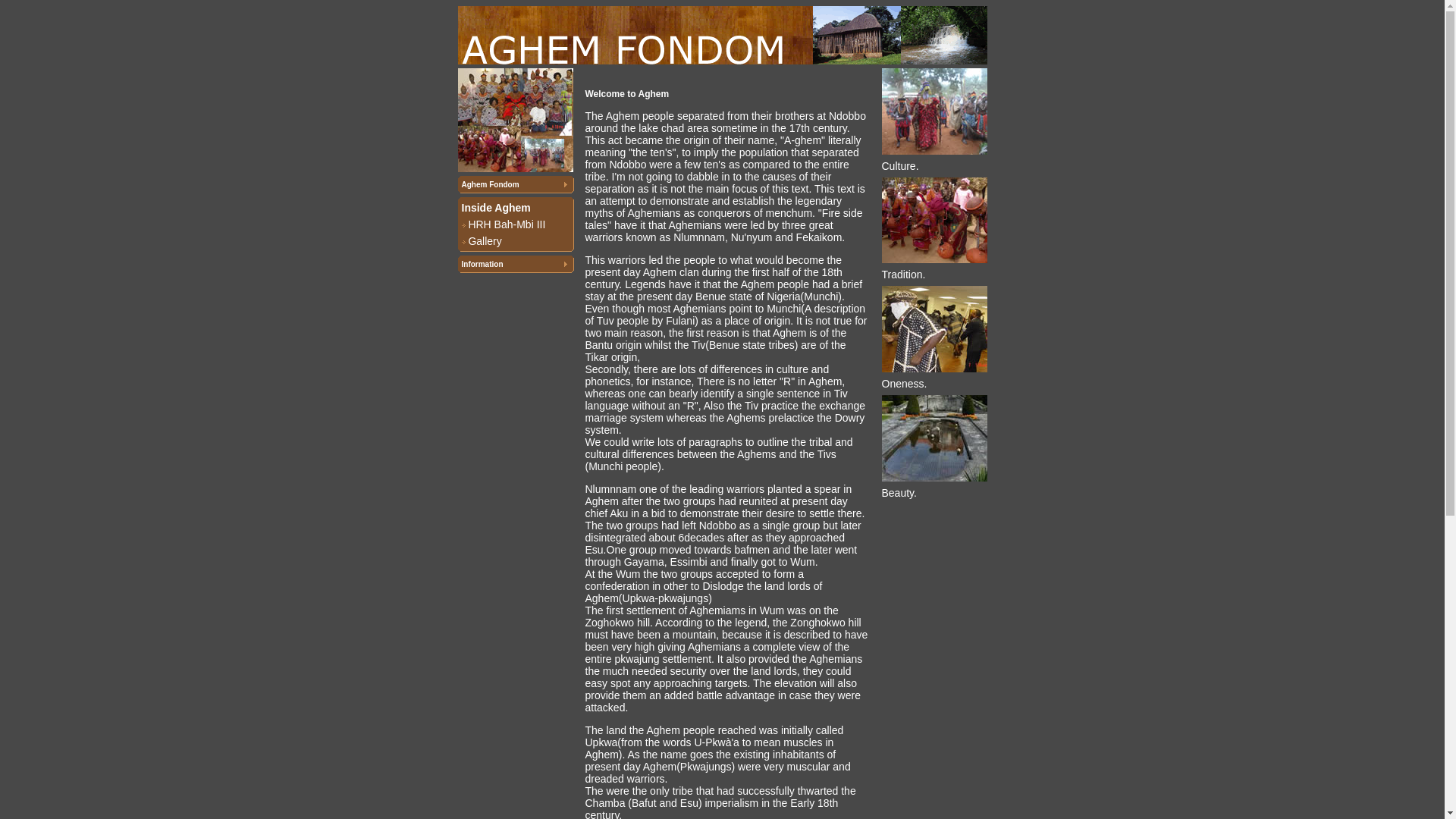 website screenshot of https://aghem-fondom.com/