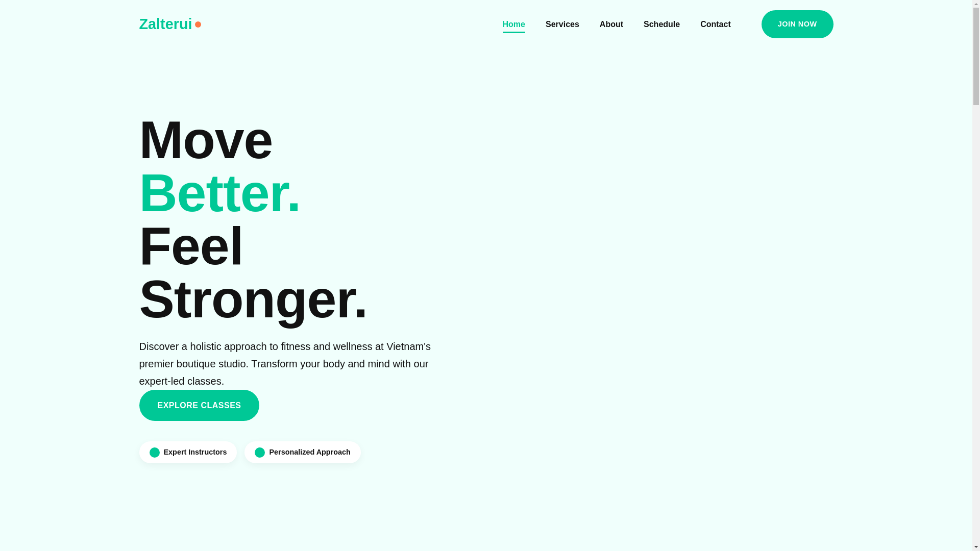 website screenshot of https://zalterui.com/
