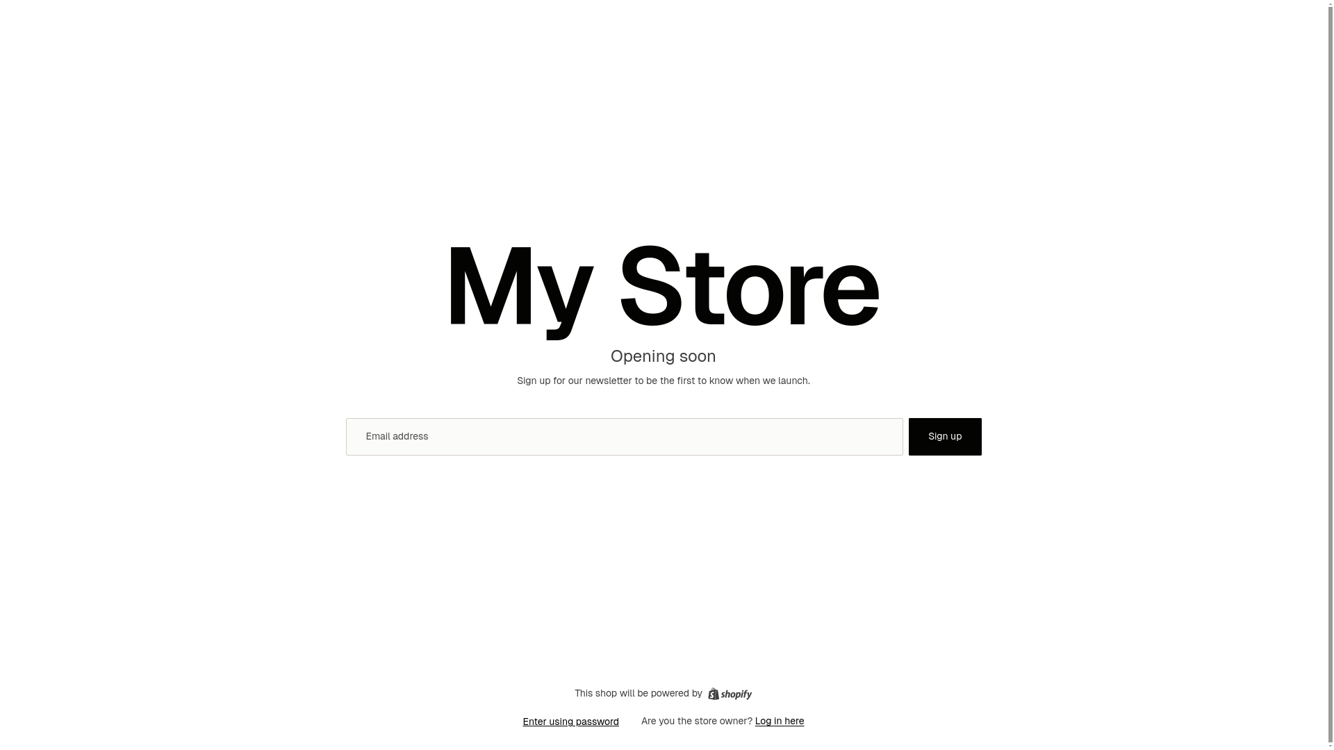 website screenshot of https://navision.store/